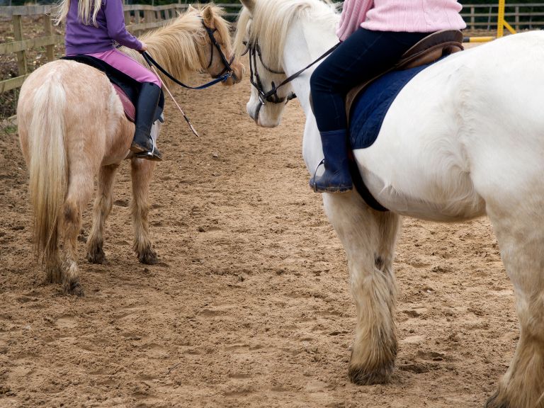 pony club dordogne
